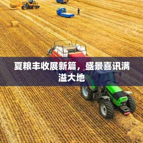 夏粮丰收展新篇，盛景喜讯满溢大地