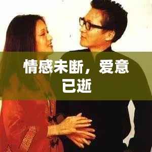 情感未断,爱意已逝