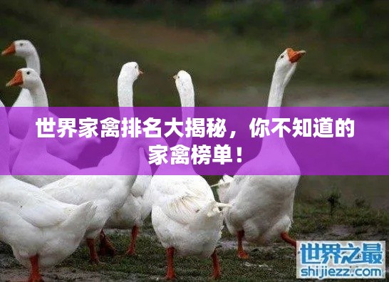 世界家禽排名大揭秘,你不知道的家禽榜单!