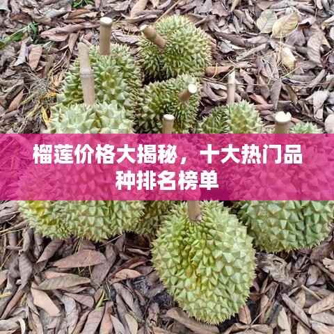 榴莲价格大揭秘,十大热门品种排名榜单