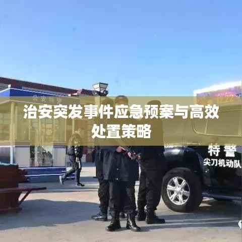 治安突发事件应急预案与高效处置策略