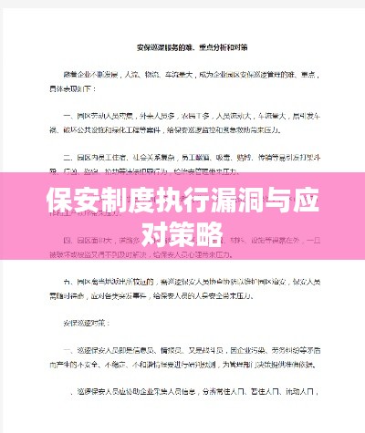 保安制度执行漏洞与应对策略