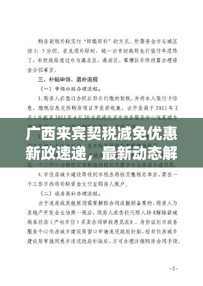 广西来宾契税减免优惠新政速递,最新动态解读