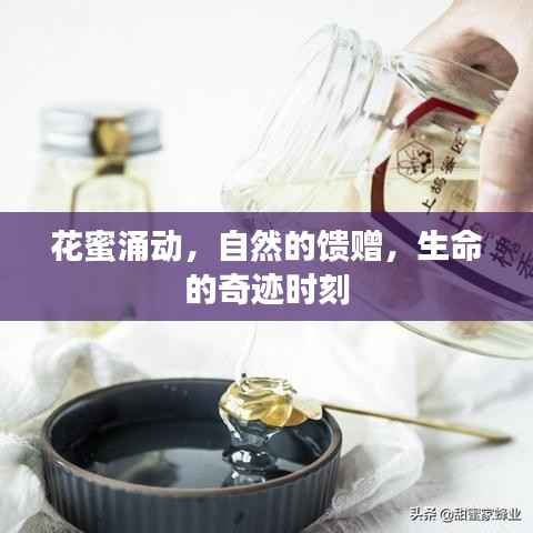 花蜜涌动,自然的馈赠,生命的奇迹时刻