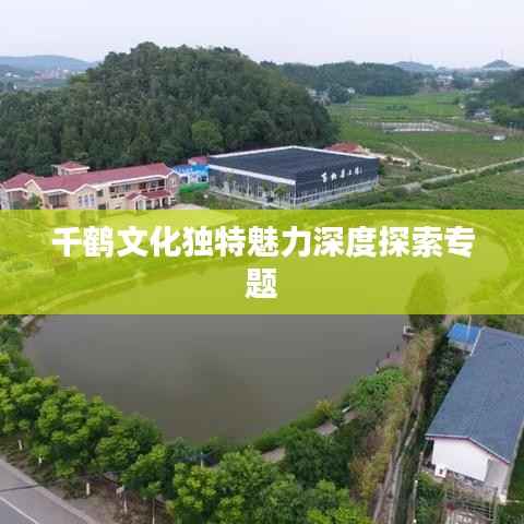 千鹤文化独特魅力深度探索专题