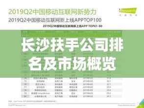 长沙扶手公司排名及市场概览，行业领先的几家企业及其市场分析