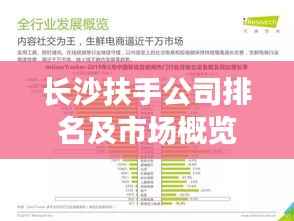 长沙扶手公司排名及市场概览,行业领先的几家企业及其市场分析