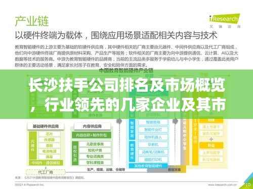 长沙扶手公司排名及市场概览,行业领先的几家企业及其市场分析
