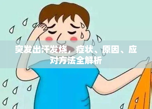 突发出汗发烧,症状、原因、应对方法全解析