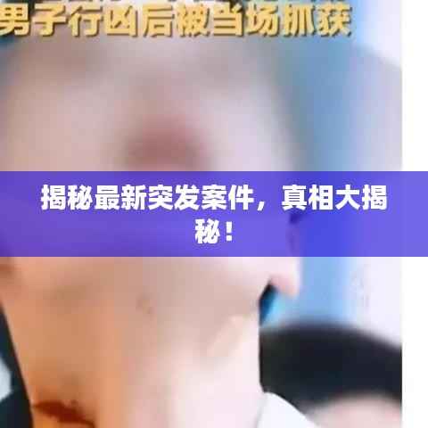 揭秘最新突发案件，真相大揭秘！