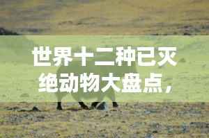 世界十二种已灭绝动物大盘点,珍稀动物排名揭秘