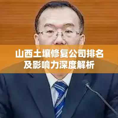 山西土壤修复公司排名及影响力深度解析