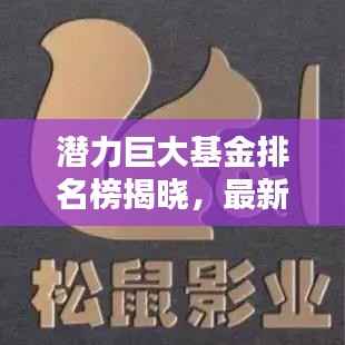 潜力巨大基金排名榜揭晓,最新投资风向探寻!