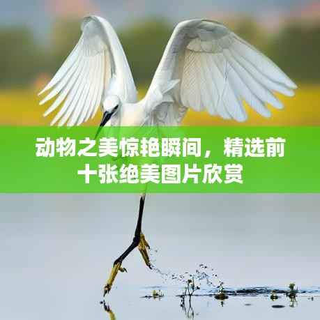 就汤下面 第4页