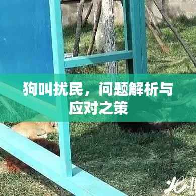 狗叫扰民,问题解析与应对之策