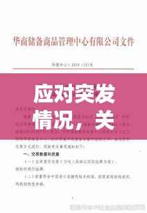 应对突发情况,关键性与应对策略的重要性