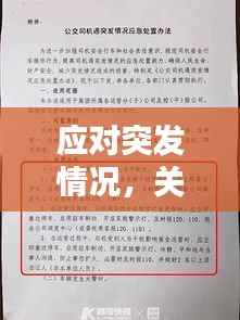 应对突发情况,关键性与应对策略的重要性