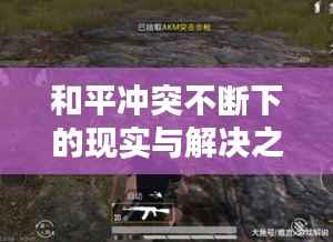 和平冲突不断下的现实与解决之道探寻