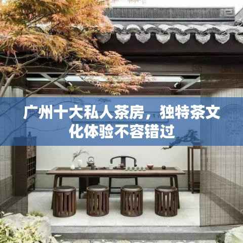 广州十大私人茶房,独特茶文化体验不容错过
