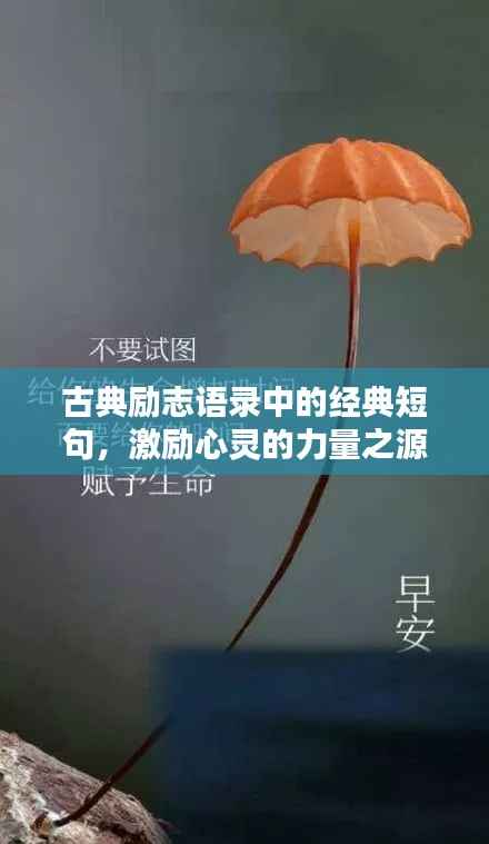 古典励志语录中的经典短句，激励心灵的力量之源