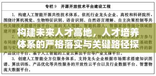 构建未来人才高地，人才培养体系的严格落实与关键路径探索