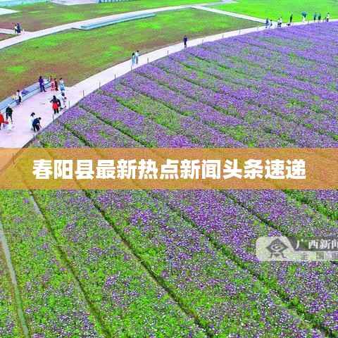 春阳县最新热点新闻头条速递