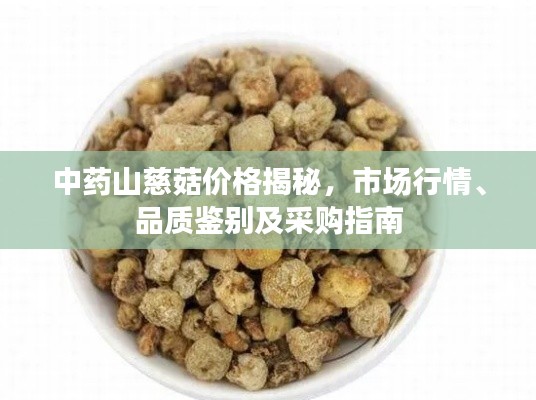 中药山慈菇价格揭秘,市场行情、品质鉴别及采购指南