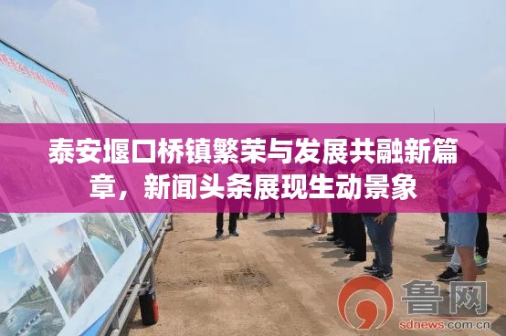 泰安堰口桥镇繁荣与发展共融新篇章,新闻头条展现生动景象