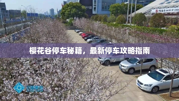 樱花谷停车秘籍，最新停车攻略指南