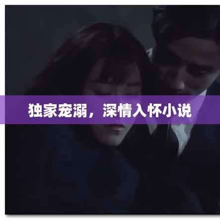 独家宠溺，深情入怀小说
