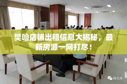 樊哙店铺出租信息大揭秘，最新房源一网打尽！