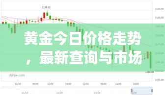 黄金今日价格走势，最新查询与市场趋势预测