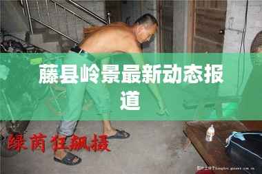 藤县岭景最新动态报道