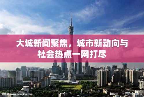 大城新闻聚焦，城市新动向与社会热点一网打尽