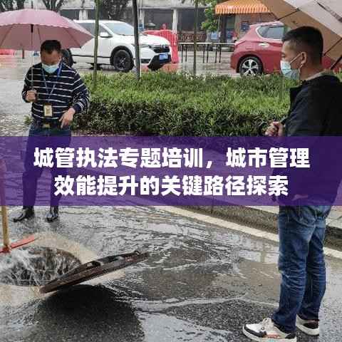 城管执法专题培训，城市管理效能提升的关键路径探索