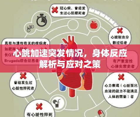 心跳加速突发情况，身体反应解析与应对之策