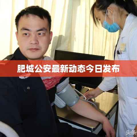 肥城公安最新动态今日发布