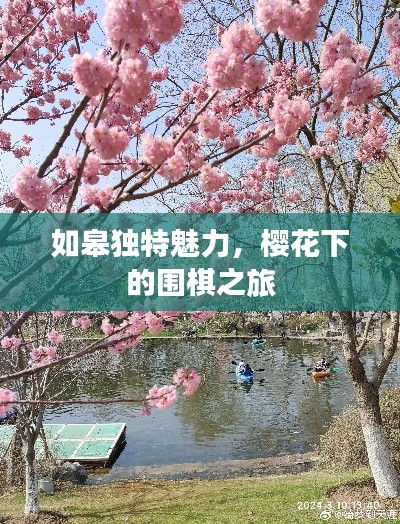 如皋独特魅力,樱花下的围棋之旅