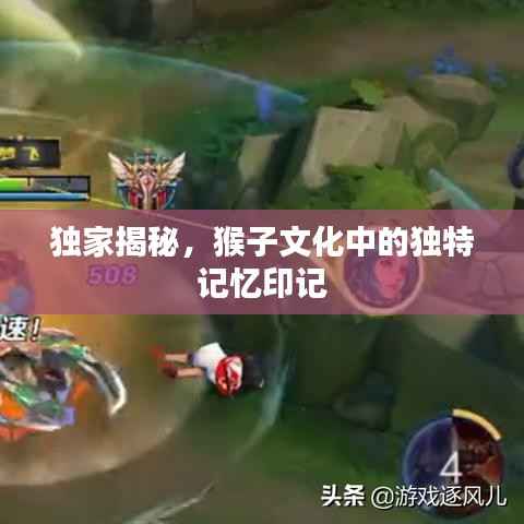 独家揭秘，猴子文化中的独特记忆印记