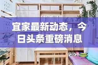 宜家最新动态,今日头条重磅消息发布!