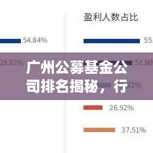 广州公募基金公司排名揭秘,行业洞察与深度解析