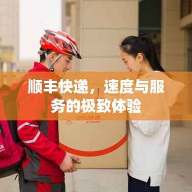 顺丰快递,速度与服务的极致体验