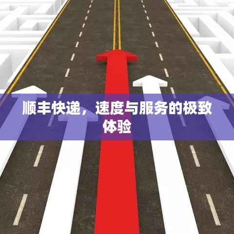 顺丰快递,速度与服务的极致体验