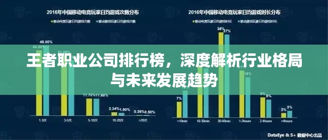 王者职业公司排行榜,深度解析行业格局与未来发展趋势