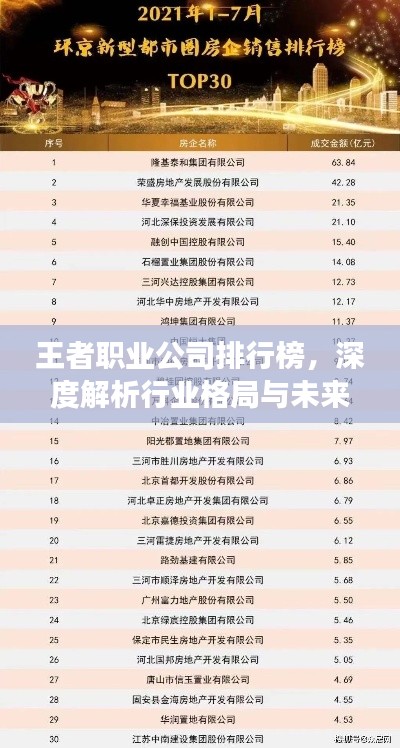 王者职业公司排行榜,深度解析行业格局与未来发展趋势