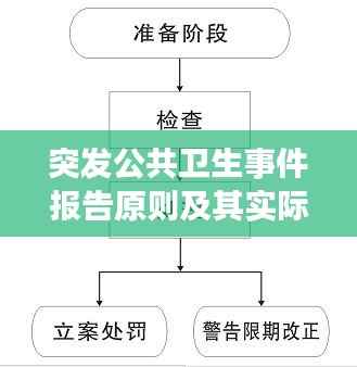 突发公共卫生事件报告原则及其实际应用解析
