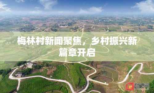 梅林村新闻聚焦,乡村振兴新篇章开启