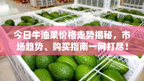 今日牛油果价格走势揭秘,市场趋势、购买指南一网打尽!