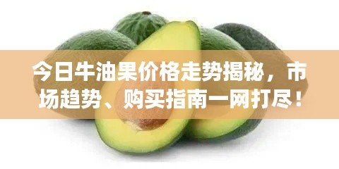 今日牛油果价格走势揭秘,市场趋势、购买指南一网打尽!