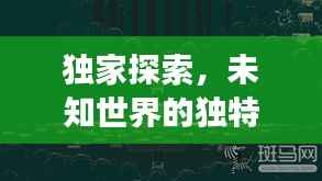 独家探索,未知世界的独特之旅